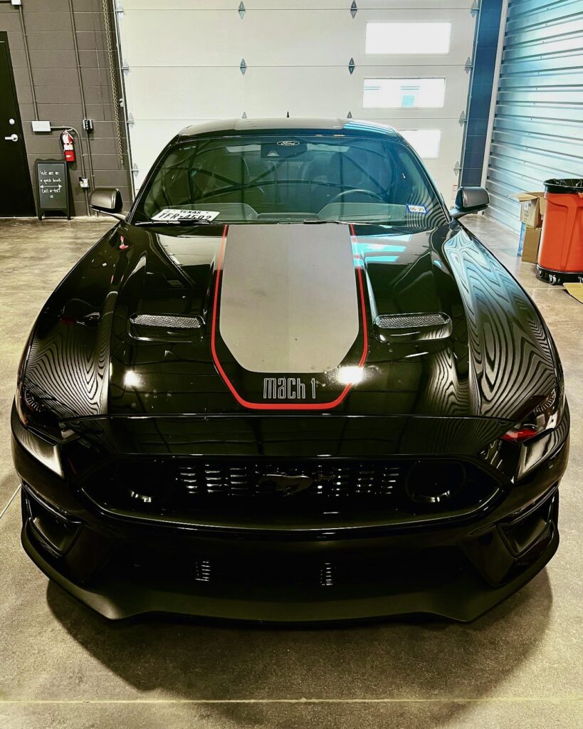 Mach ! Mustang Tint